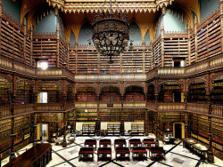 itscolossal:Look Inside the World’s Most Beautiful Libraries in a New 560-Page Photo Book by Massimo Listri