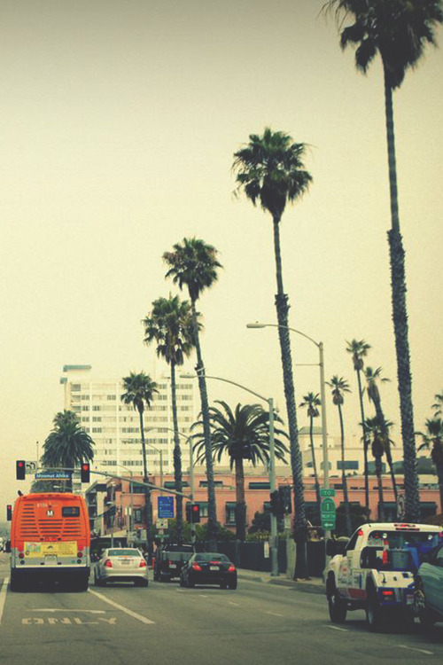 paradise