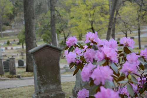 photographybyadb: Massachusetts Cemetery.  Original by AdB.