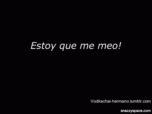 solo-una-estupida-mas:  tipico chileno