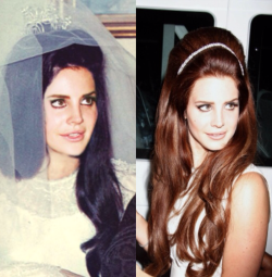 wildflower-faerie:  misogamy:  afro-latino:benaakedandreveal-yourself:nachosdelrey:namastati:Pricilla Presley and Lana Del Rey  Elvis is her daddy, remember  this is actually fucking me up.  She’s a vampire.  I’ve seen that picture before and just