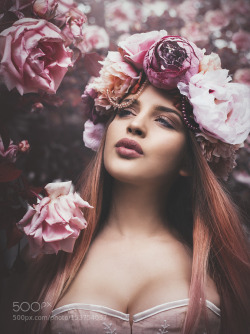 thebestinphotography:  Pink Roses
