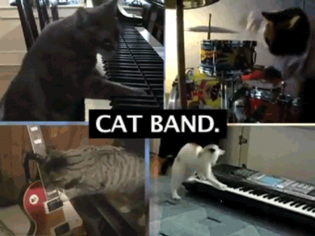 funny-gif-1:  Other Funny Gİfs http://funny-gif-1.tumblr.com/