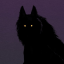 cwolf99