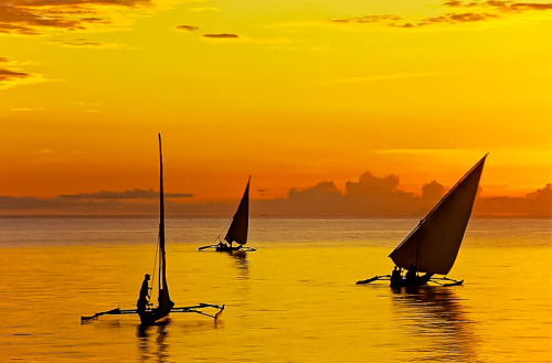 djferreira224:&ldquo;Dawn exodus&rdquo; ~ Fishing feluccas leaving the east coast of Zanziba