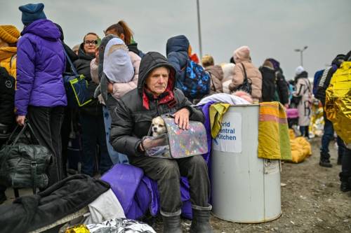 blueboyluca: Pets of war: Ukrainians take comfort from their animals as they flee the conflict – in 