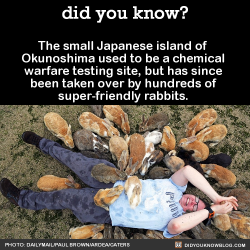 did-you-kno:  The small Japanese island of