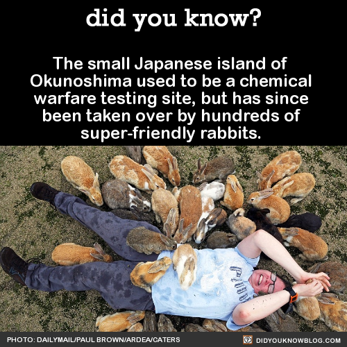 Porn Pics did-you-kno:  The small Japanese island of