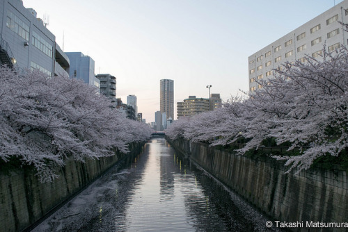 Meager River, Tokyo by takashi_matsumura on Flickr.