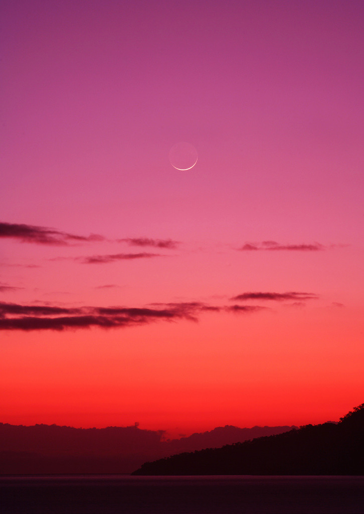 sleepypsychedelia:  New Moon 