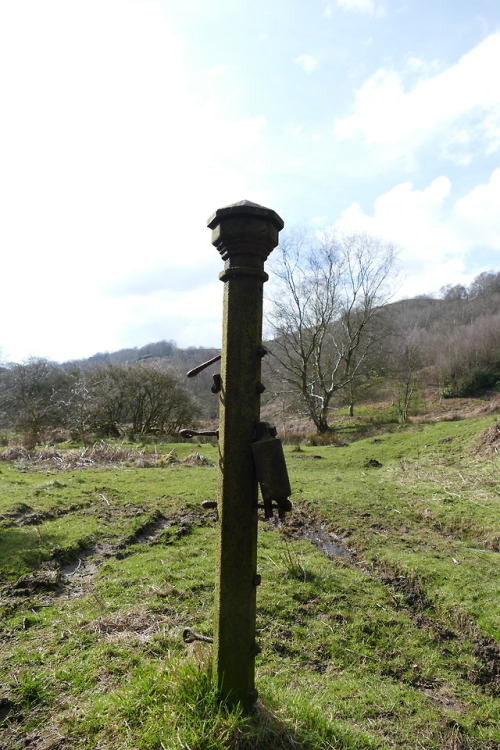 Views of the Grizedale Valley in North Lancashire on the edge of the Forest of Bowland in March 2018