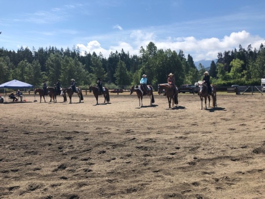 Went out and took some pics today of one of my amazing friends and her step daughter showing her horse ( they’ve actually been in a magazine recently). She took the overall show and got a buckle and her little got her first show buckle! ( at 7!!) both