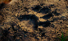 Lifes Not Fair, Is It, My Little Friend? While Some Are Born To Feast, Others Spend Their Lives In The