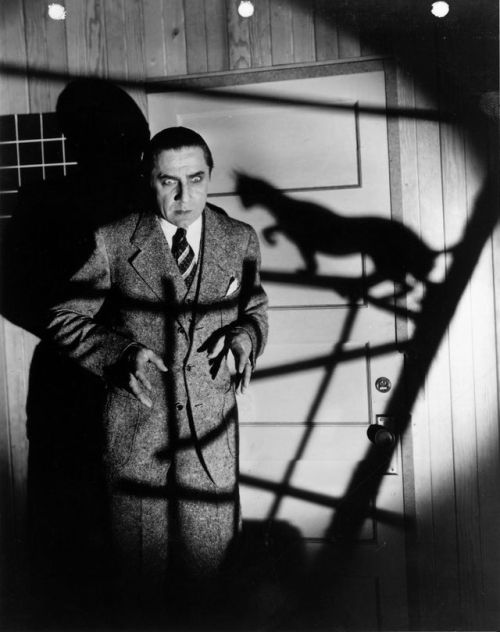 somnium13:  The Black Cat (1934) Directed by Edgar G. Ulmer