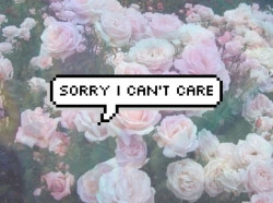 pensieridinotte:  sorry i can’t care 