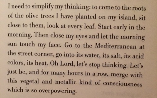 “I need to simplify my thinking: to come to the roots of the olive trees I have planted on my 