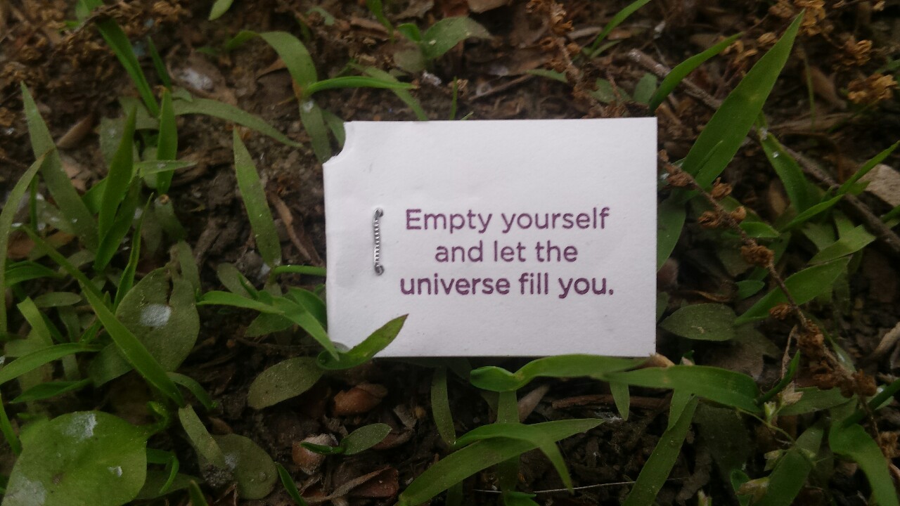 Hurt yourself. Universe is empty.