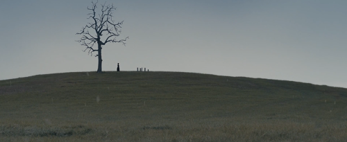 True Grit ( il Grinta ), 2010Western Directed by Joel Coen &amp; Ethan CoenDirector of Photography: 