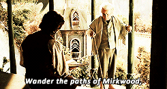 lois-lane:  Middle-earth meme ♔ [1/7] quotes 