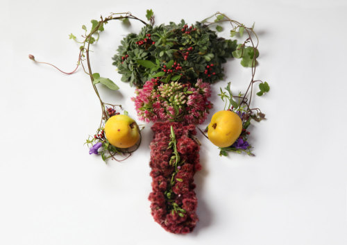 fer1972:  Human Organs made from Plants and Flowers by Camila Carlow  