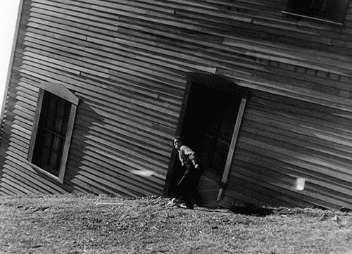 littlehorrorshop:Steamboat Bill Jr. (1928)