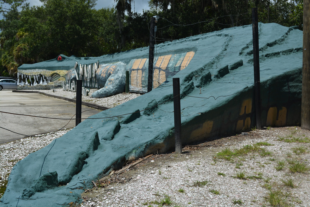 I faved Swampy - Worlds Largest Gator
by photography_shoots
embiggen by clicking: http://flic.kr/p/omx5RN
“Swampy is big – big enough to contain the gift shop, ticket counter and offices of Jungle Adventures, in the holiday season-themed town of...