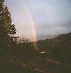silverindies:  ☮peaceful vibes and nature☮