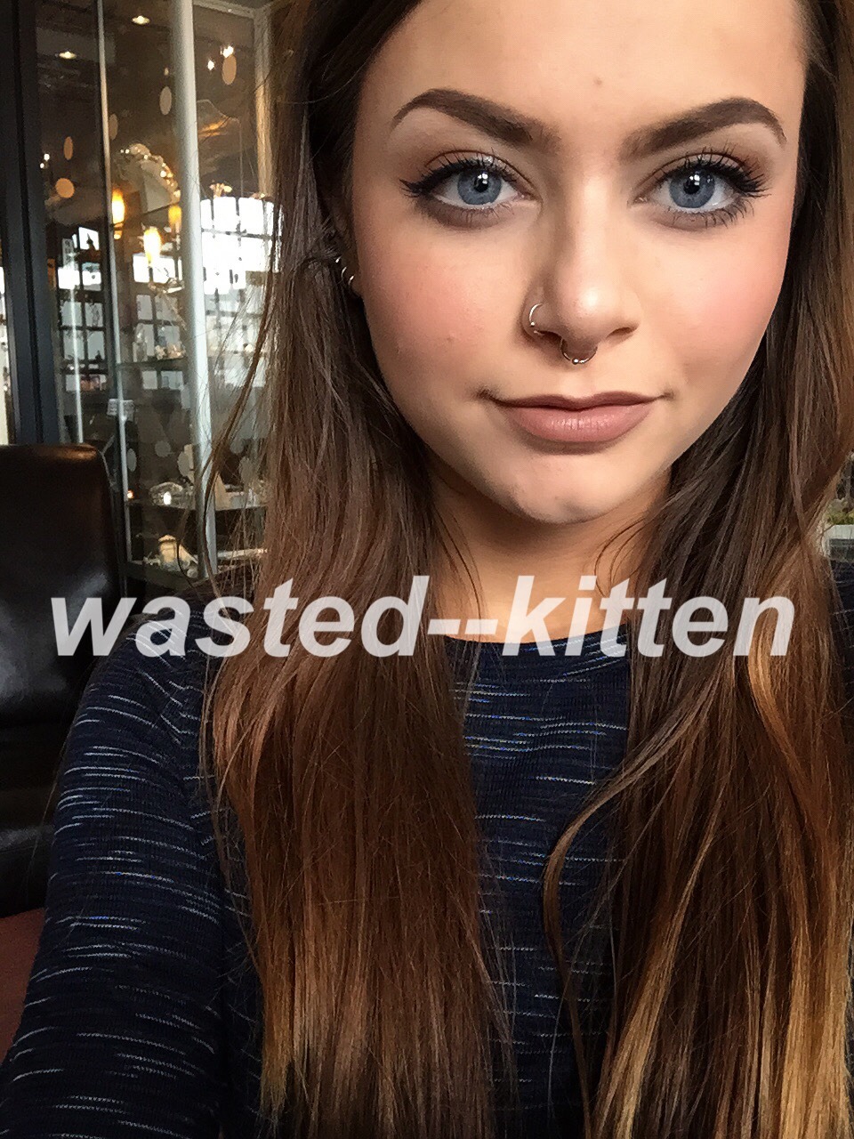 WASTED KITTEN