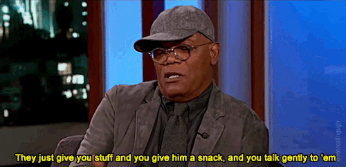 londoncallingsigh:Did you like working with the cat?  (Samuel L. Jackson on Playing a Young Nick Fur