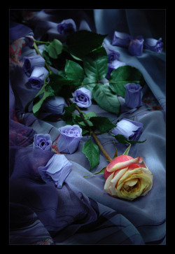 justbeingnamaste:  Help us to be ever faithful gardeners of the spirit, who know that without darkness nothing comes to birth, and without light nothing flowers. 