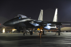 fcba:  An F-15C Eagle of the 144th Fighter