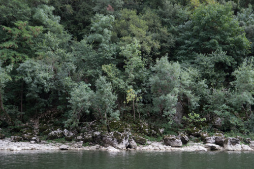 troglodytemakesthings:Pont D’Arc, France - 2015