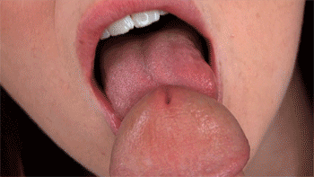 things and stuff, but mostly porn