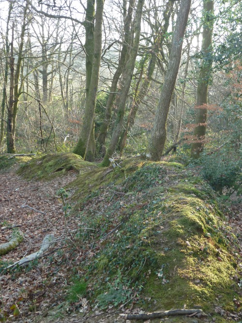 Bryngarw Country Park, March 2014