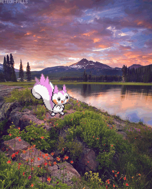 meteor-falls:Shiny Pachirisu