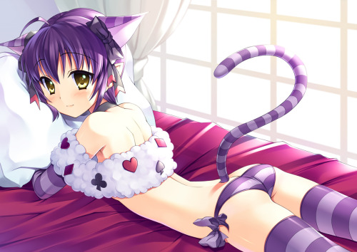 getyournekoshere:  some tired ecchi nekos :3