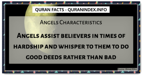 Discover Amazing, Interesting and Beautiful General Quran #Quotes and #Facts @ https://quranindex.in