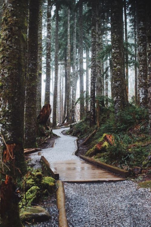 wolverxne:  Untitled | by: {  Ryan Wilson }  @countrygrl1234