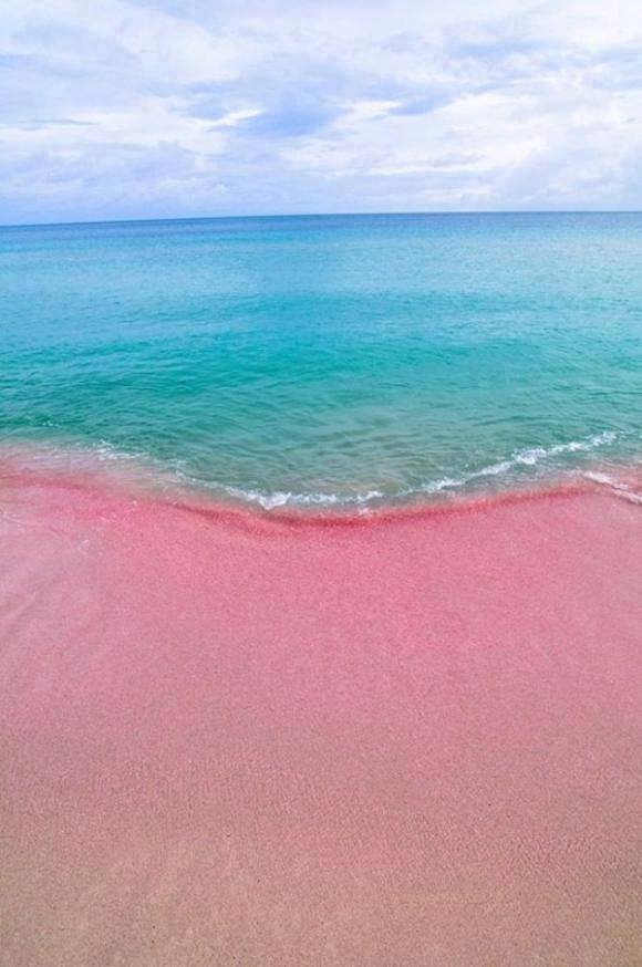 bellazona:    Pink Sandy Beach In The Island Harbour, Bahamas 