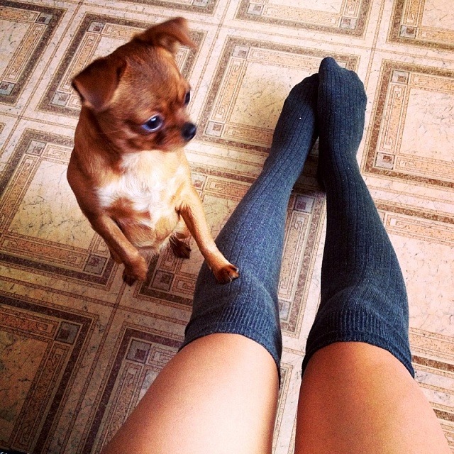 champagne-paradise:  xo