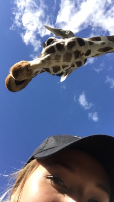 fitjyn:  I took some selfies with a giraffe