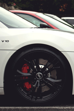 sexlane:  mistergoodlife:  Audi R8 V10  .