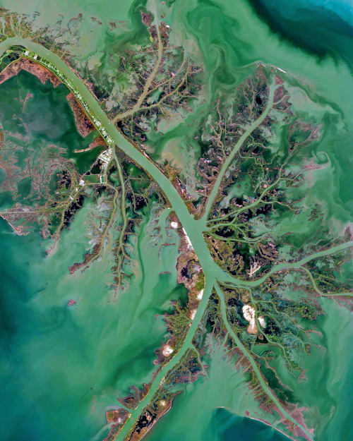 dailyoverview:The Mississippi River Delta is the confluence of the Mississippi River with the Gulf o