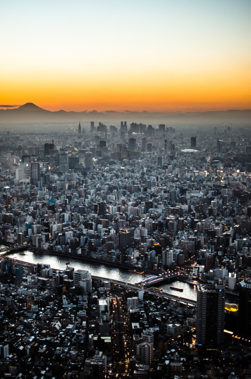 citylandscapes:Mt Fuji watching over Tokyo Source: dagrass (reddit)