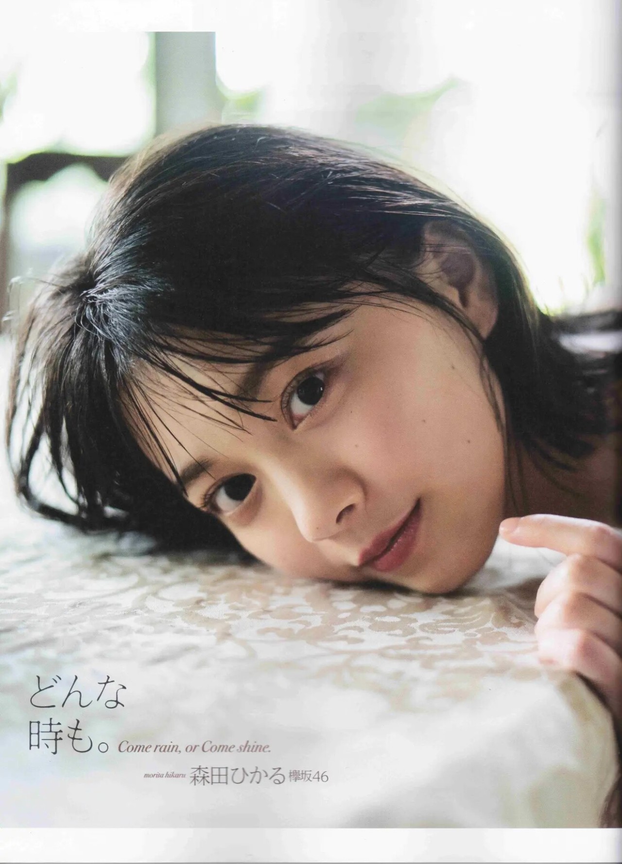 京子の犬 Morita Hikaru 森田ひかる B L T Graph 08 京子の犬 Morita Hikaru 森田ひかる B L T Graph 08