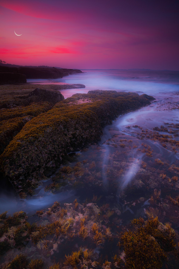 radivs:  End of Days by James McGregor 