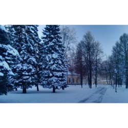 #Arsenal #museum #history #tree #trees #walking #landscape #landscapephotography #city #citylife #architecture   #Izhevsk #Udmurtia #Russia   #Today, #evening  #streetphotography #snow #winter #cold #новыйгод #Россия #Ижевск #Удмуртия