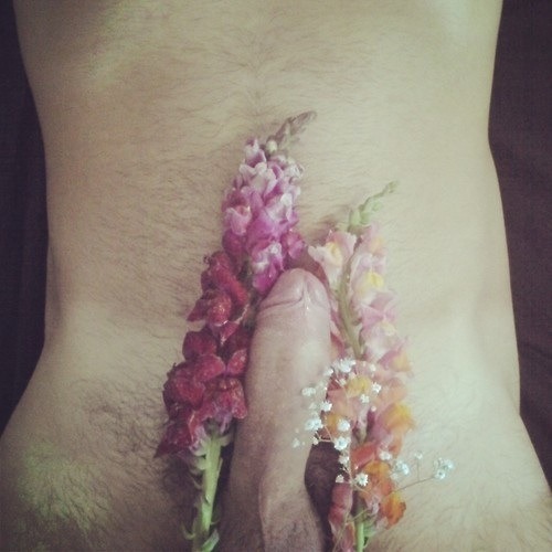 Lookporn:  Pornographic Picture. 