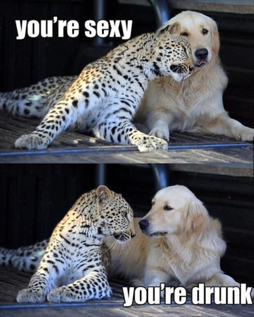 lol-post:  You’re sexy 