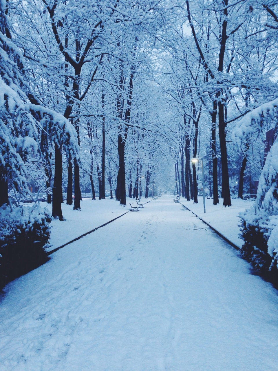 hugsandcupsoftea:Autumn-winter 🍁⛄️